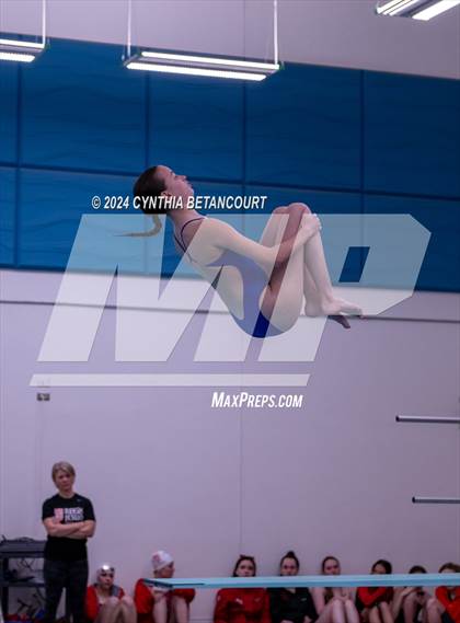 Thumbnail 3 in Cherry Creek vs Regis Jesuit (Dive) photogallery.