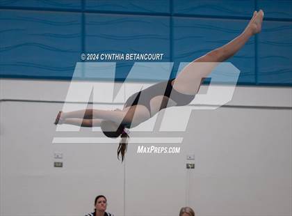Thumbnail 1 in Cherry Creek vs Regis Jesuit (Dive) photogallery.