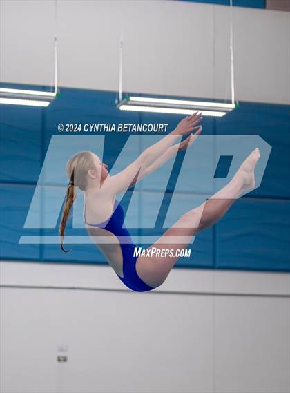 Thumbnail 1 in Cherry Creek vs Regis Jesuit (Dive) photogallery.