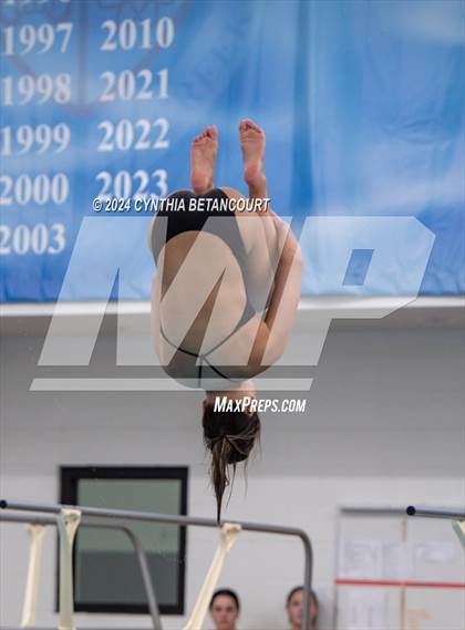 Thumbnail 2 in Cherry Creek vs Regis Jesuit (Dive) photogallery.