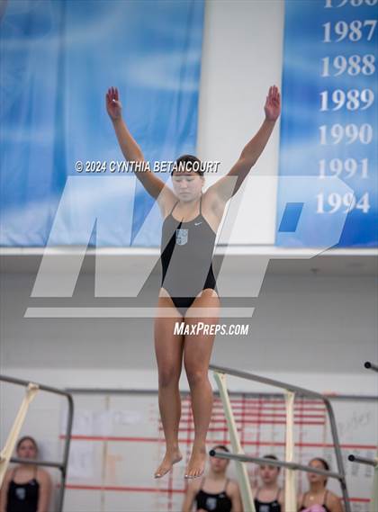 Thumbnail 1 in Cherry Creek vs Regis Jesuit (Dive) photogallery.