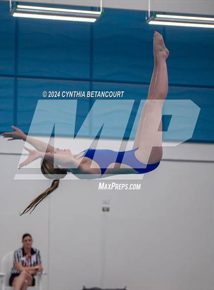 Thumbnail 2 in Cherry Creek vs Regis Jesuit (Dive) photogallery.