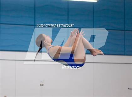 Thumbnail 3 in Cherry Creek vs Regis Jesuit (Dive) photogallery.