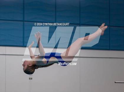 Thumbnail 1 in Cherry Creek vs Regis Jesuit (Dive) photogallery.