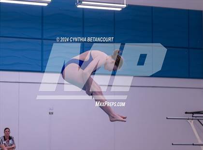Thumbnail 1 in Cherry Creek vs Regis Jesuit (Dive) photogallery.