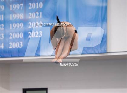 Thumbnail 1 in Cherry Creek vs Regis Jesuit (Dive) photogallery.