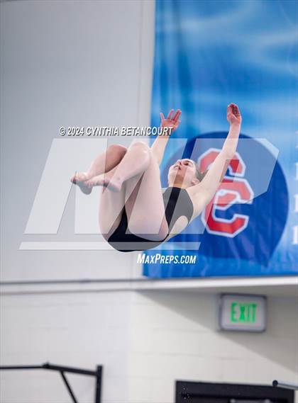 Thumbnail 1 in Cherry Creek vs Regis Jesuit (Dive) photogallery.