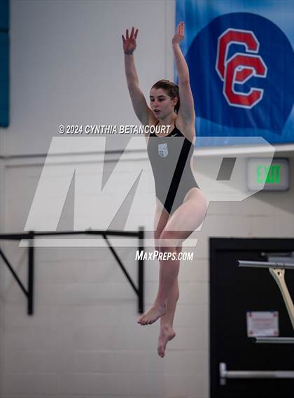 Thumbnail 1 in Cherry Creek vs Regis Jesuit (Dive) photogallery.
