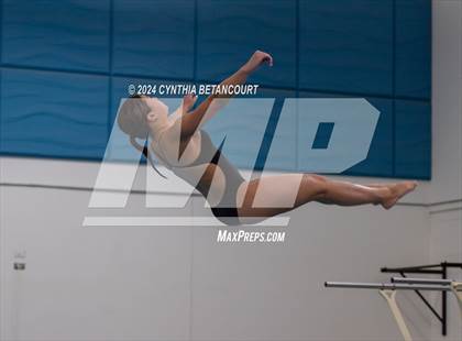 Thumbnail 1 in Cherry Creek vs Regis Jesuit (Dive) photogallery.