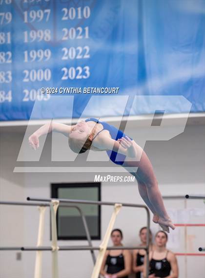 Thumbnail 2 in Cherry Creek vs Regis Jesuit (Dive) photogallery.