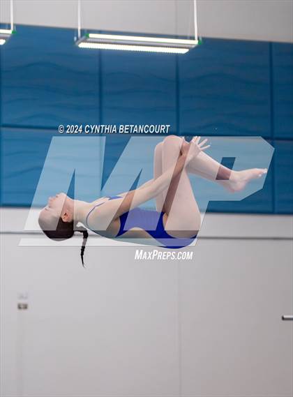 Thumbnail 3 in Cherry Creek vs Regis Jesuit (Dive) photogallery.