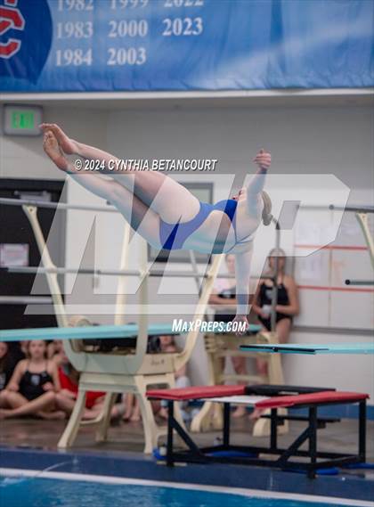 Thumbnail 2 in Cherry Creek vs Regis Jesuit (Dive) photogallery.