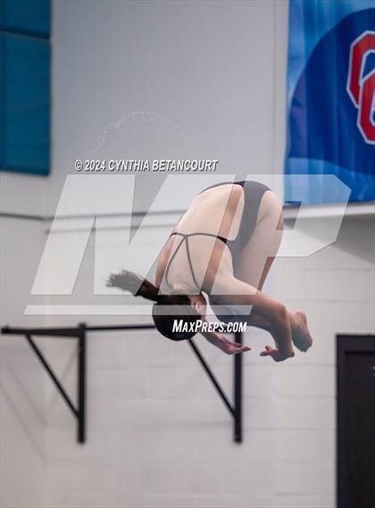 Thumbnail 1 in Cherry Creek vs Regis Jesuit (Dive) photogallery.