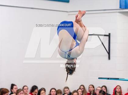 Thumbnail 1 in Cherry Creek vs Regis Jesuit (Dive) photogallery.