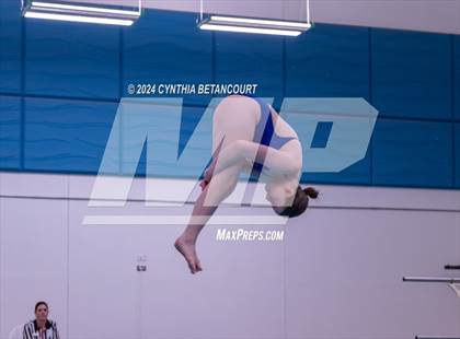 Thumbnail 2 in Cherry Creek vs Regis Jesuit (Dive) photogallery.