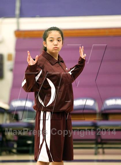 Thumbnail 2 in Piner @ Petaluma photogallery.