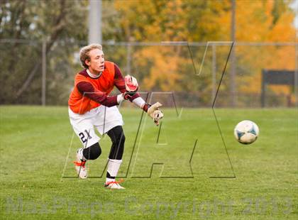 Thumbnail 3 in Golden @ Evergreen photogallery.
