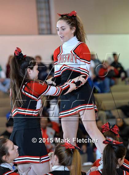 Thumbnail 2 in Delsea @ Kingsway photogallery.