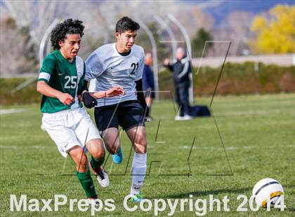 Thumbnail 3 in Hillcrest @ Cottonwood photogallery.