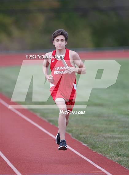 Thumbnail 2 in St. Bernard @ Lyman Memorial photogallery.