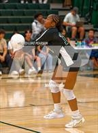 Photo from the gallery "Monterey Trail @ Kennedy"
