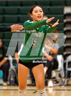 Photo from the gallery "Monterey Trail @ Kennedy"