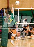 Photo from the gallery "Monterey Trail @ Kennedy"