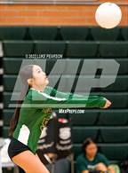 Photo from the gallery "Monterey Trail @ Kennedy"