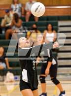 Photo from the gallery "Monterey Trail @ Kennedy"