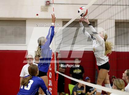 Thumbnail 1 in Safford vs Arizona Lutheran Academy (The Florence VB Invitational) photogallery.