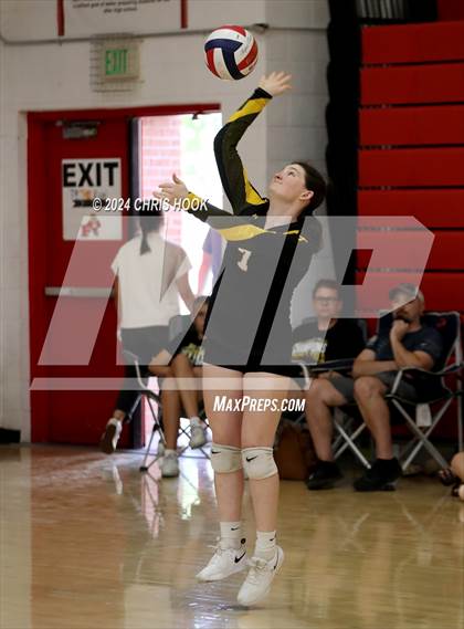 Thumbnail 3 in Safford vs Arizona Lutheran Academy (The Florence VB Invitational) photogallery.