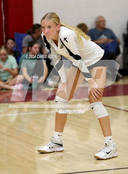 Thumbnail 3 in Safford vs Arizona Lutheran Academy (The Florence VB Invitational) photogallery.
