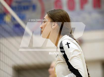 Thumbnail 1 in Safford vs Arizona Lutheran Academy (The Florence VB Invitational) photogallery.