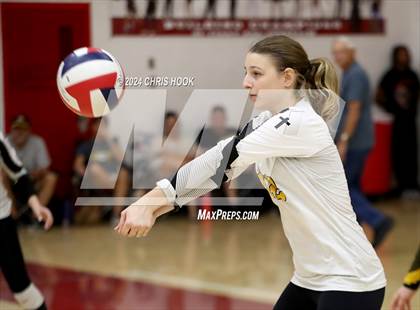 Thumbnail 1 in Safford vs Arizona Lutheran Academy (The Florence VB Invitational) photogallery.