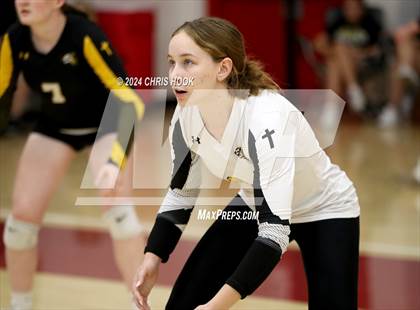 Thumbnail 3 in Safford vs Arizona Lutheran Academy (The Florence VB Invitational) photogallery.