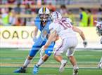Photo from the gallery "Timnath vs. Wellington"