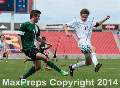 Thumbnail 3 in Waterford vs Rowland Hall (UHSAA 2A Final) photogallery.