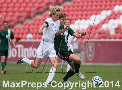 Thumbnail 2 in Waterford vs Rowland Hall (UHSAA 2A Final) photogallery.