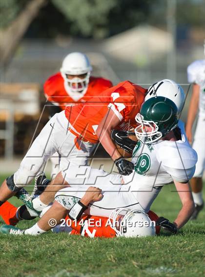 Thumbnail 1 in FR: Colfax @ Woodland photogallery.