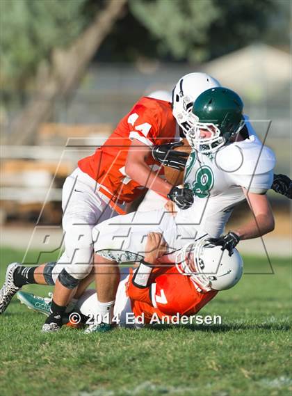 Thumbnail 3 in FR: Colfax @ Woodland photogallery.