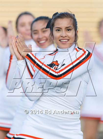 Thumbnail 1 in FR: Colfax @ Woodland photogallery.