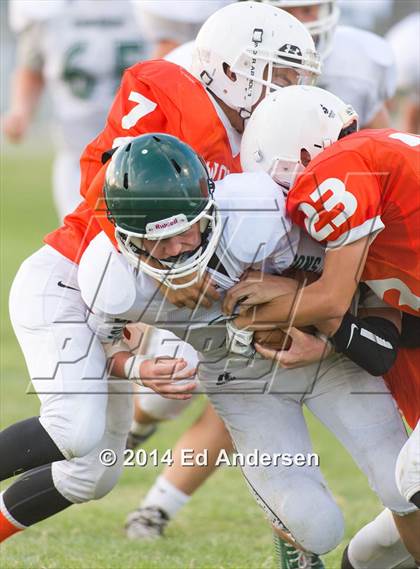 Thumbnail 1 in FR: Colfax @ Woodland photogallery.