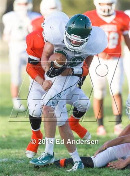 Thumbnail 1 in FR: Colfax @ Woodland photogallery.