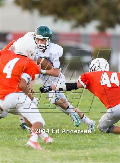 Thumbnail 1 in FR: Colfax @ Woodland photogallery.