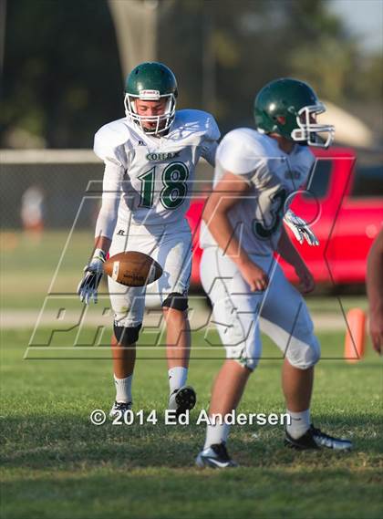 Thumbnail 3 in FR: Colfax @ Woodland photogallery.