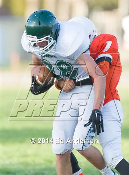 Thumbnail 2 in FR: Colfax @ Woodland photogallery.