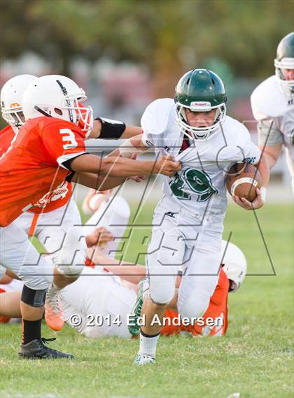 Thumbnail 3 in FR: Colfax @ Woodland photogallery.