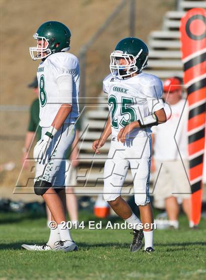 Thumbnail 3 in FR: Colfax @ Woodland photogallery.