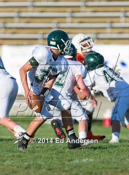 Thumbnail 1 in FR: Colfax @ Woodland photogallery.