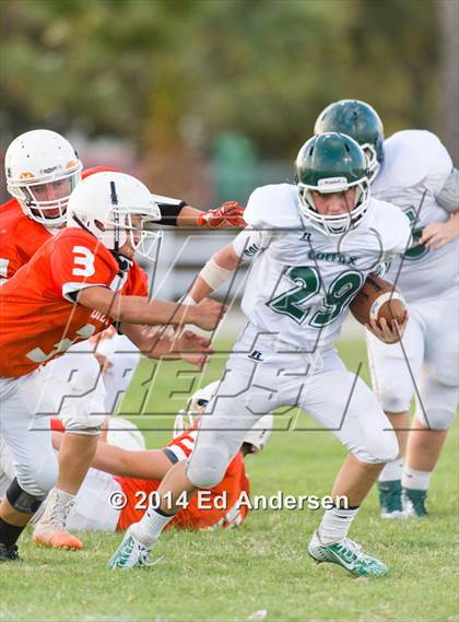 Thumbnail 1 in FR: Colfax @ Woodland photogallery.